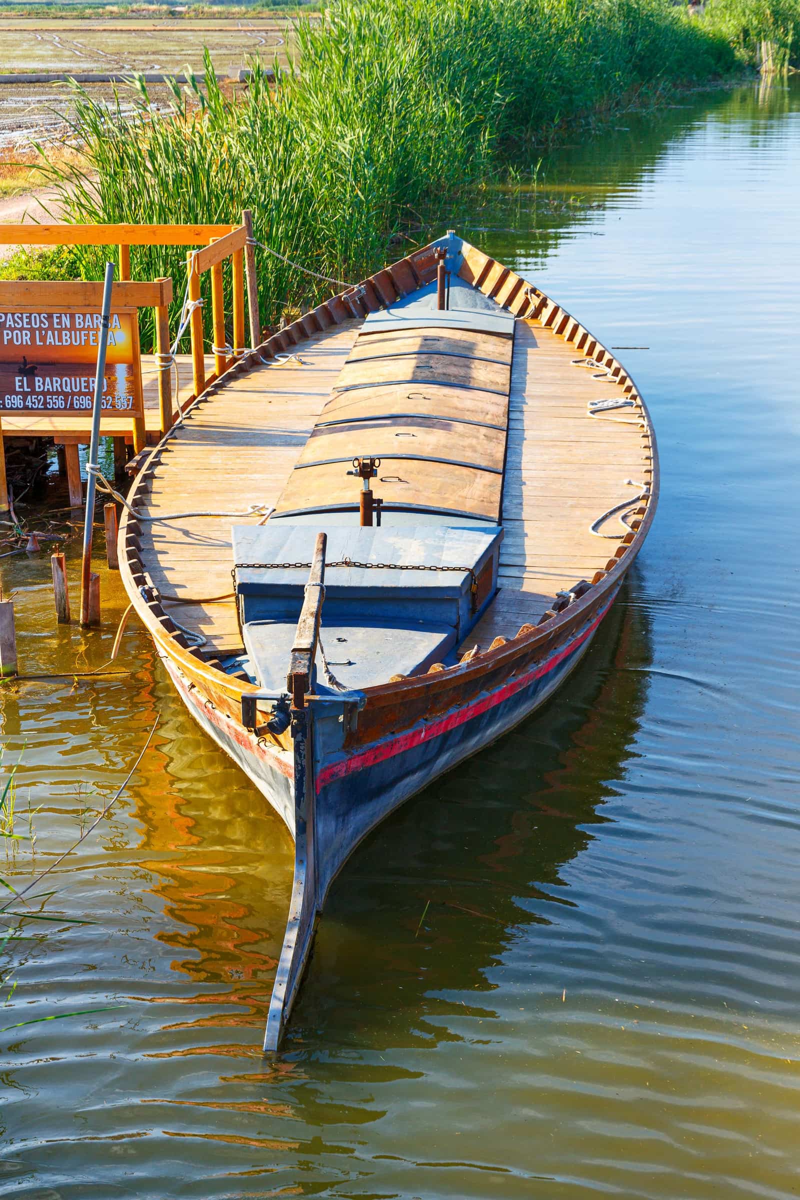 Barca tradicional amarrada en la Albufera de Valencia